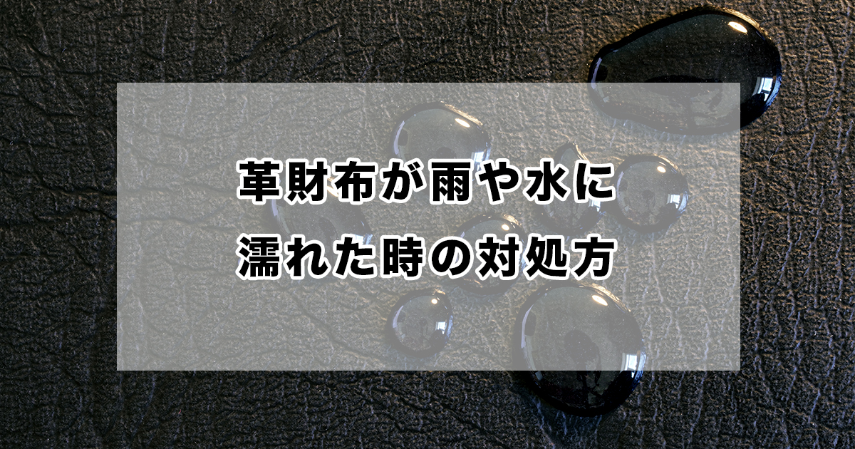 完全ガイド】革財布が雨や水に濡れたときの対処法などを紹介 | 皮革ドットコム